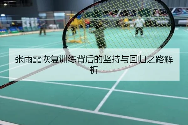 张雨霏恢复训练背后的坚持与回归之路解析